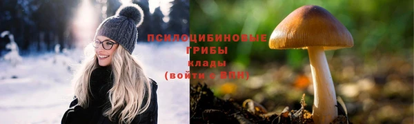 MDMA Premium VHQ Карталы
