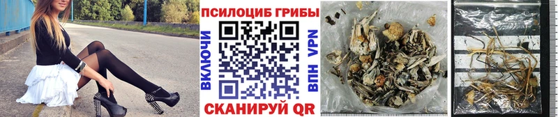 Купить где  Серафимович  Галлюциногенные грибы Psilocybine cubensis 